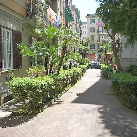 Casa Roger Отель типа 